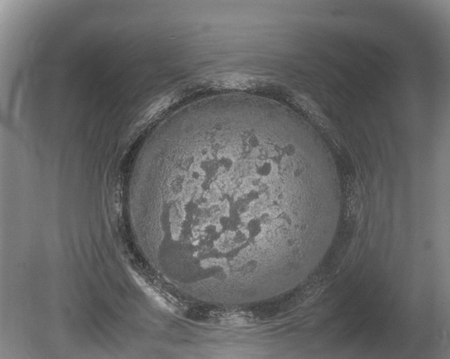 X0000080730683200612221253