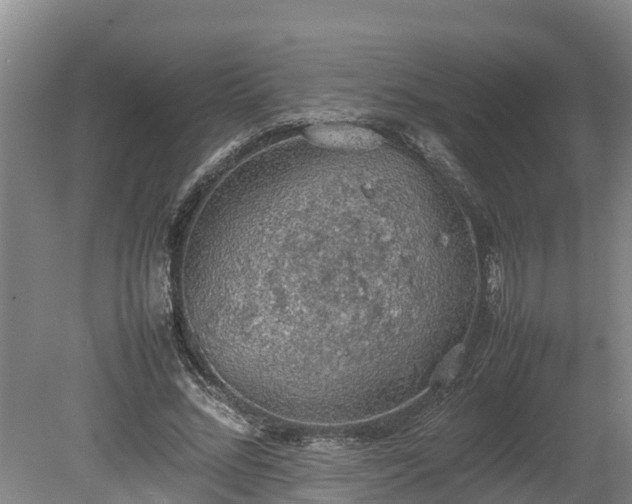 X0000080730684200612221253