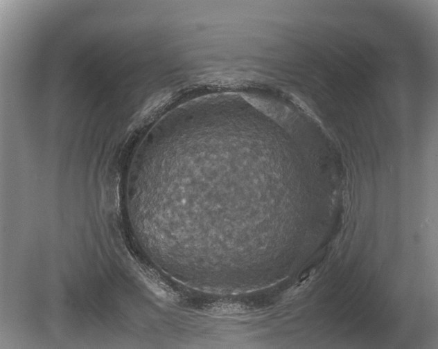 X0000080730685200612221253