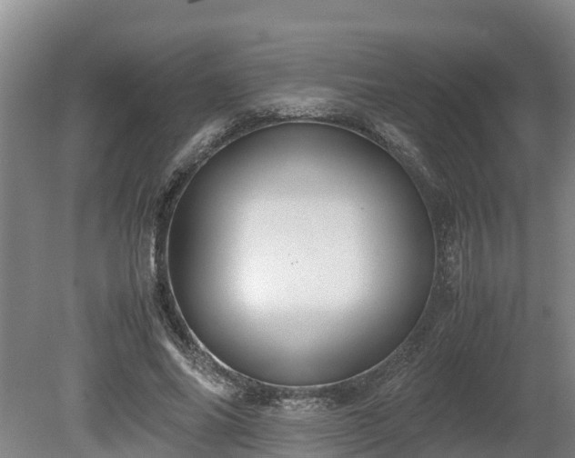 X0000080730686200612221253