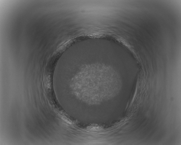 X0000080730689200612221253