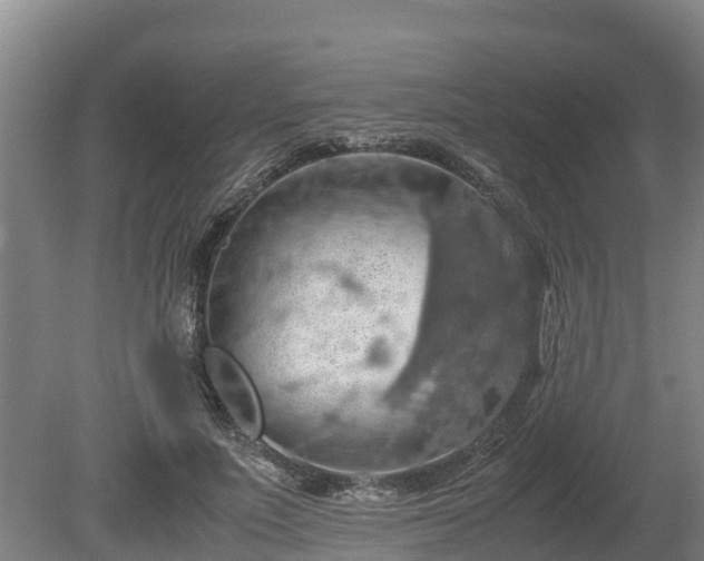 X0000080730691200612221253