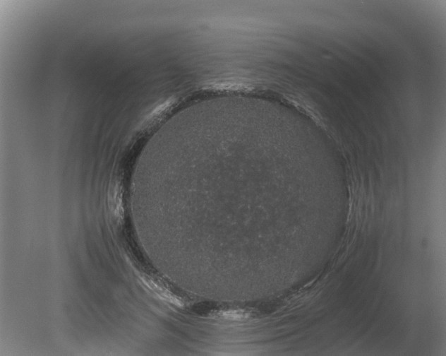 X0000080730692200612221253