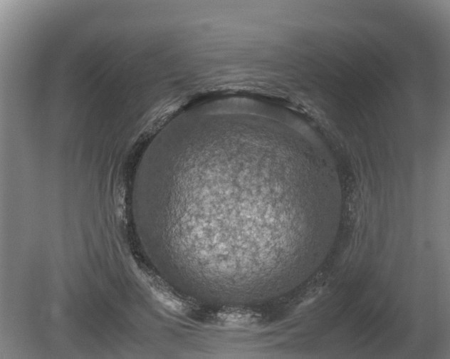 X0000080730693200612221253