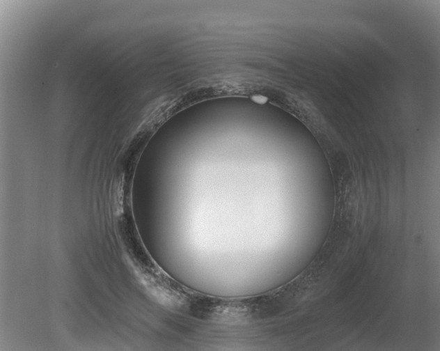 X0000080730694200612221253