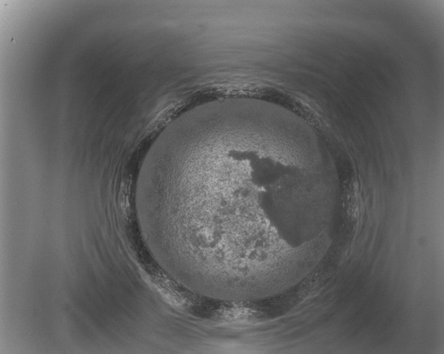 X0000080730695200612221253