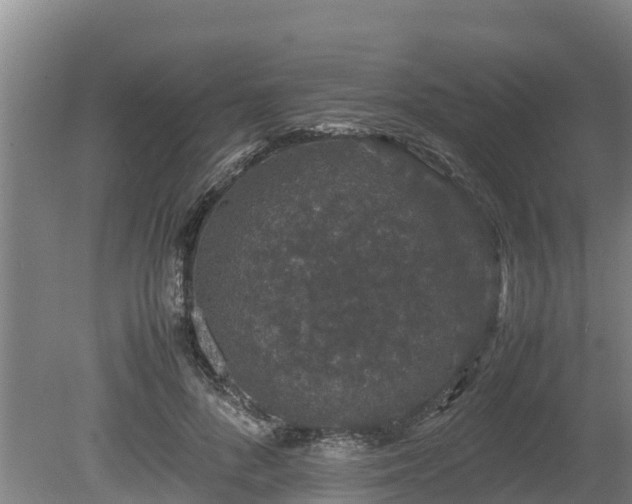 X0000080730696200612221253