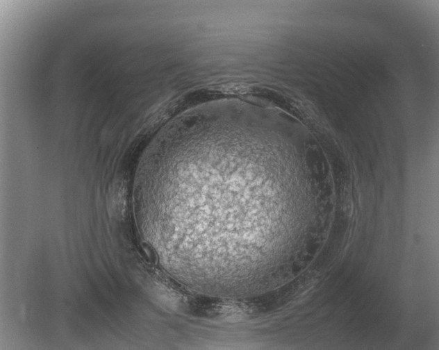 X0000080730697200612221253