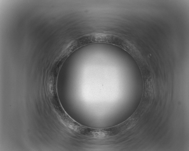 X0000080730698200612221253