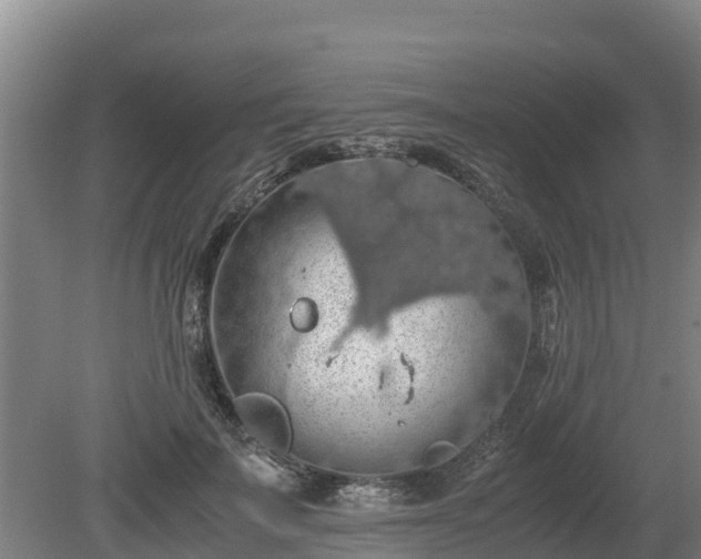 X0000080730699200612221253