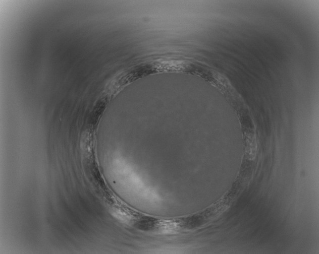 X0000080730701200612221253