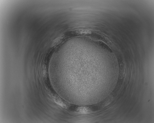 X0000080730704200612221253