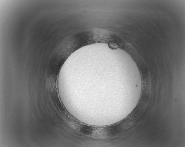 X0000080730705200612221253