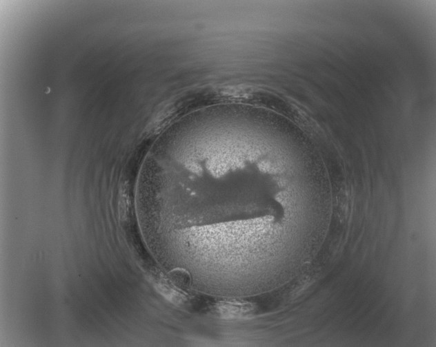 X0000080730707200612221253