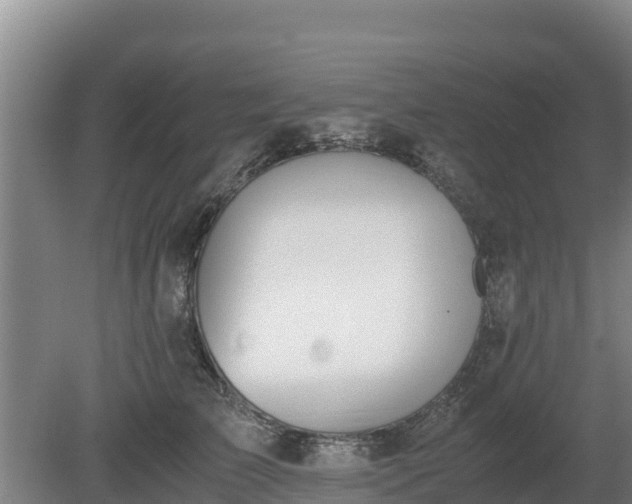 X0000080730709200612221253