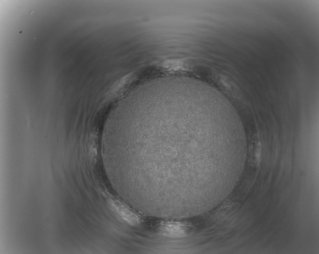 X0000080730710200612221253