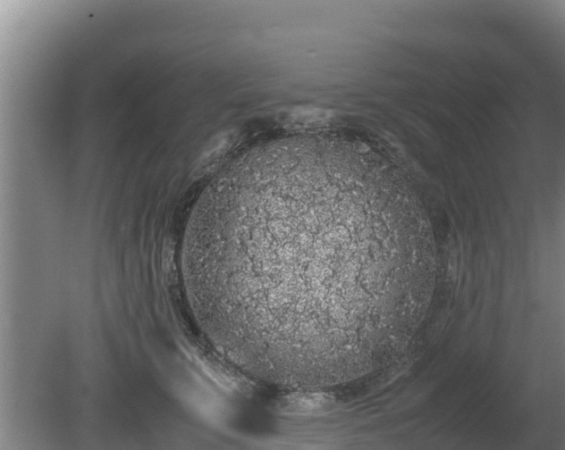 X0000080730711200612221253