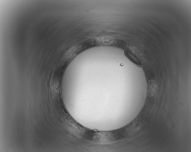 X0000080730713200612221253