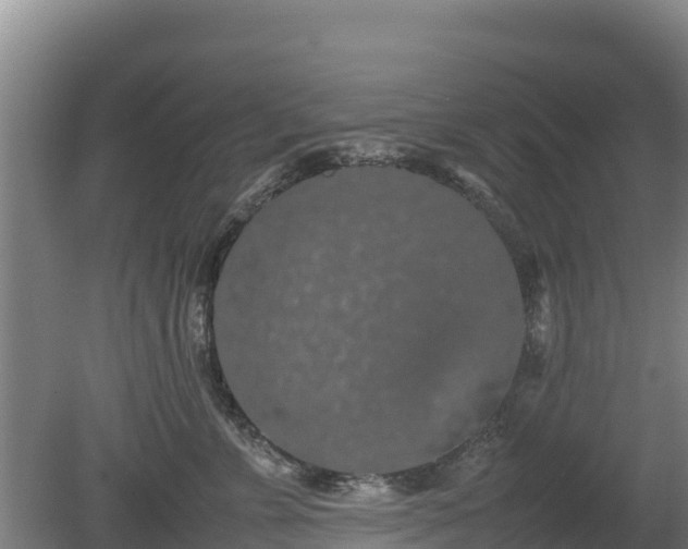 X0000080730715200612221253