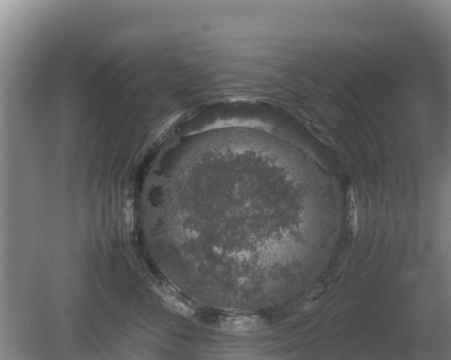 X0000080730716200612221253