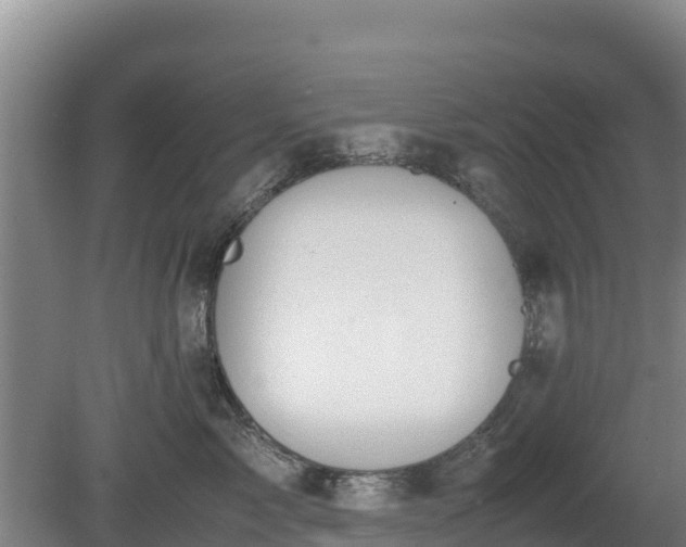 X0000080730717200612221253