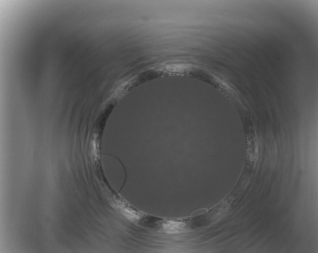 X0000080730718200612221253