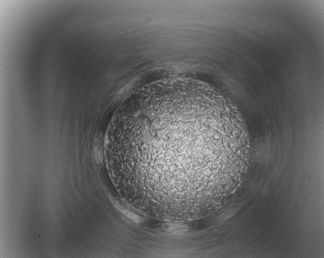 X0000080730719200612221253