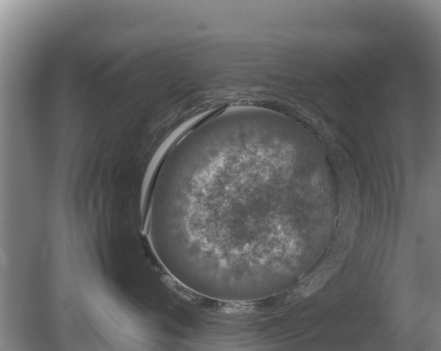 X0000080730720200612221253