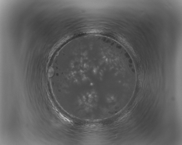 X0000080730721200612221252