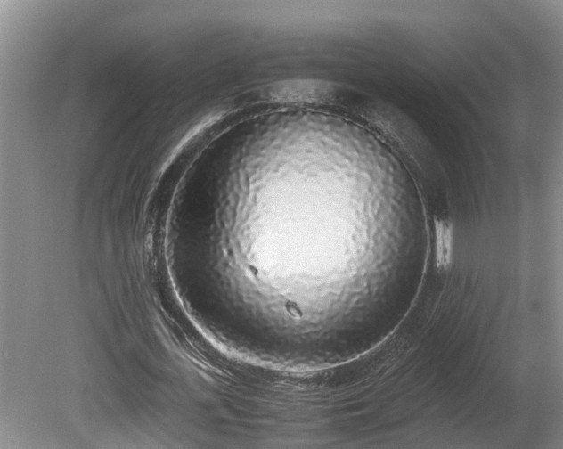 X0000080730723200612221252