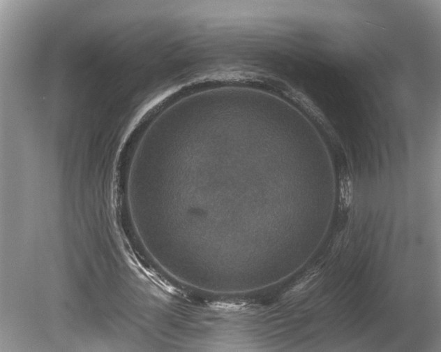 X0000080730724200612221252