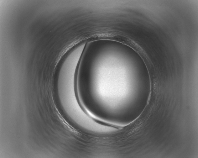 X0000080730725200612221252