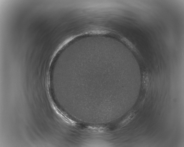 X0000080730726200612221252