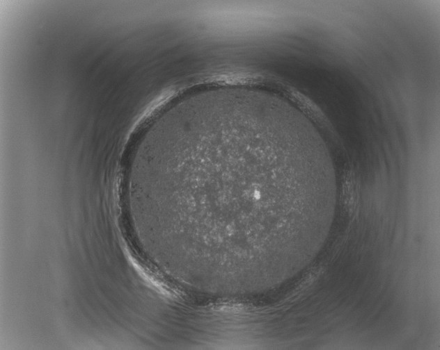 X0000080730730200612221252