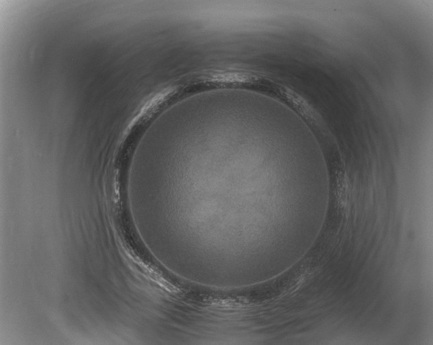 X0000080730731200612221252