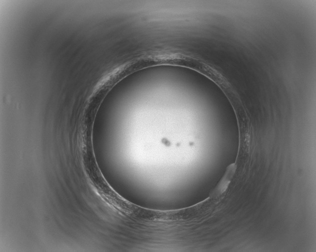 X0000080730732200612221252