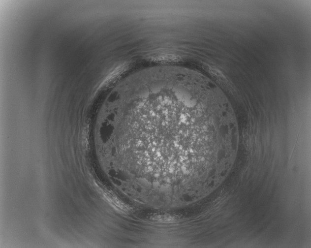 X0000080730735200612221252