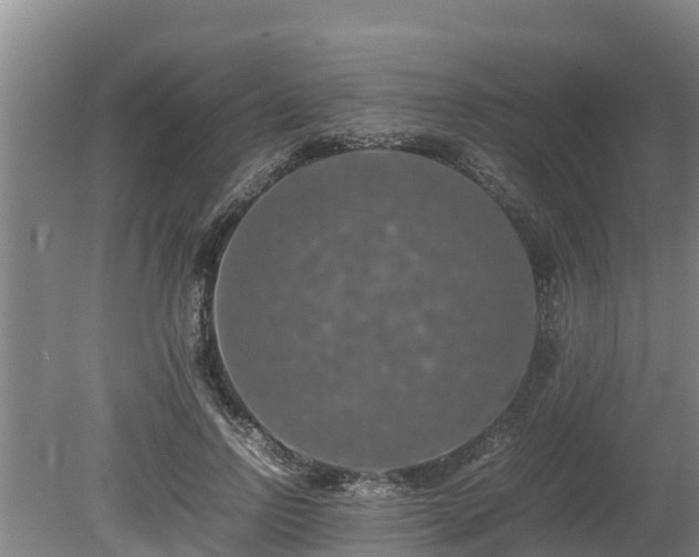 X0000080730742200612221252