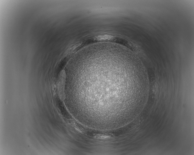 X0000080730743200612221252