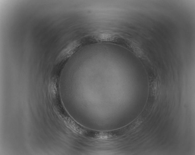 X0000080730746200612221252