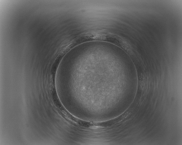 X0000080730748200612221252