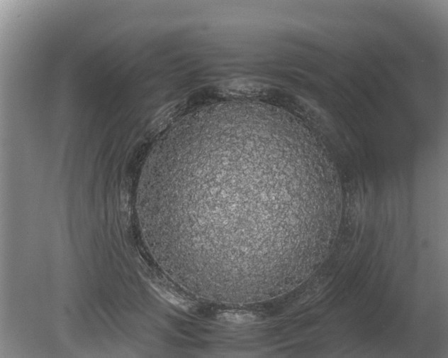 X0000080730749200612221252