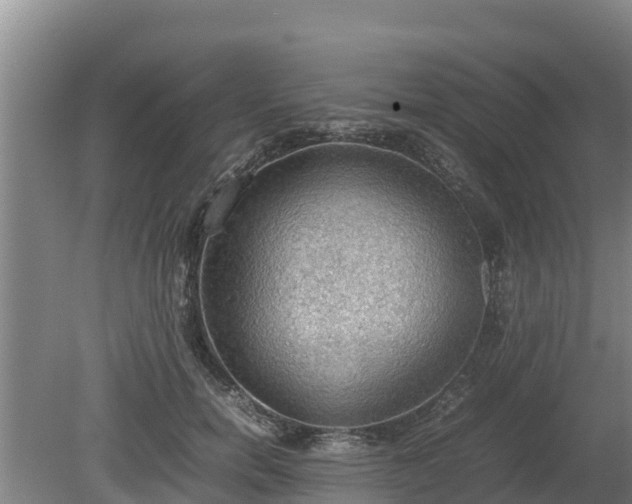 X0000080730750200612221252