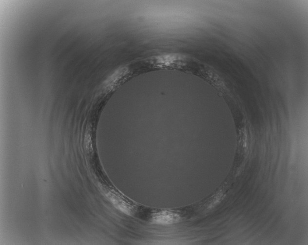 X0000080730754200612221252