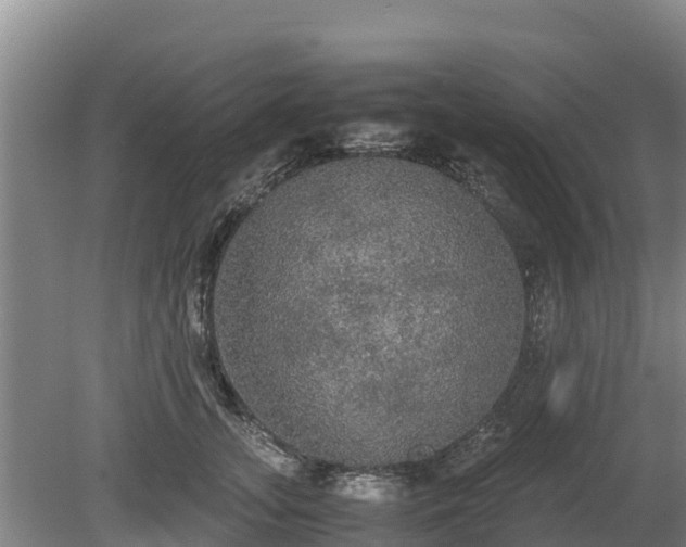 X0000080730755200612221252