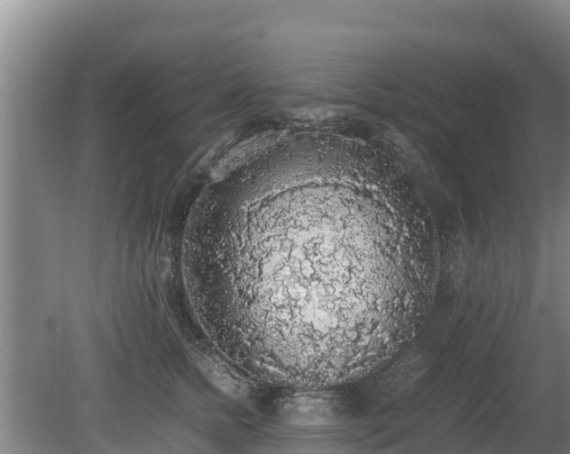 X0000080730758200612221252