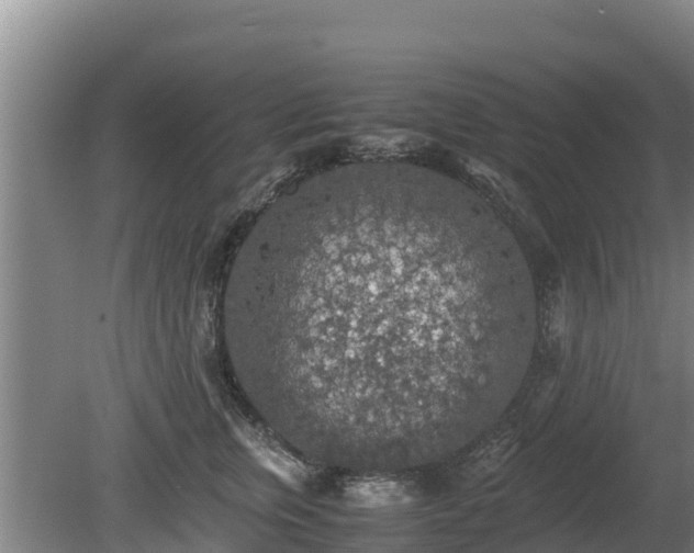 X0000080730759200612221253