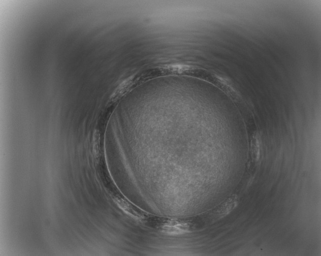 X0000080730760200612221253