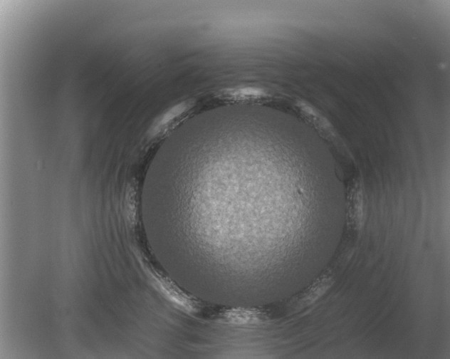 X0000080730762200612221253