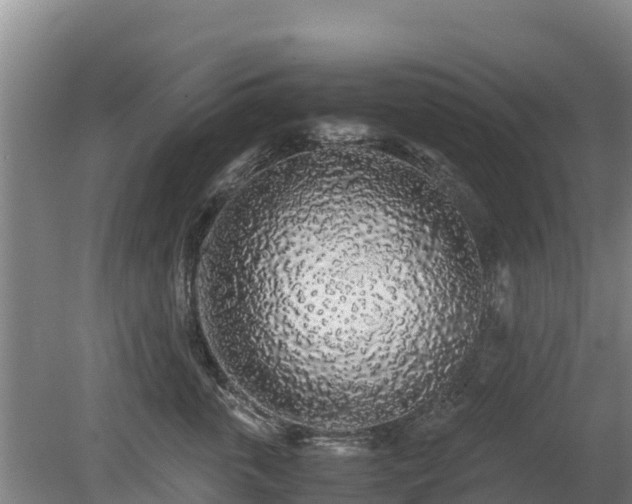 X0000080730763200612221253